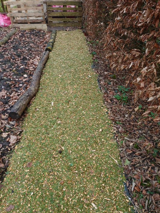 path and edge 