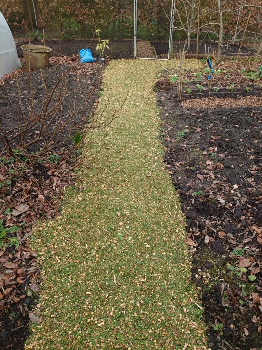 weeded both sides